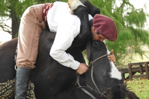 From Buenos Aires: Gaucho and Ranch Day Tour