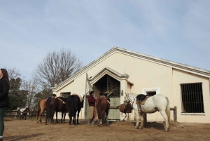 From Buenos Aires: Gaucho and Ranch Day Tour