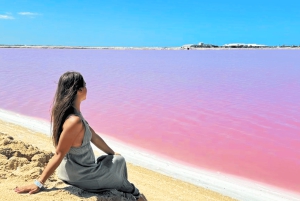 From Cancún: Rio Lagartos & Las Coloradas Day Trip & Lunch