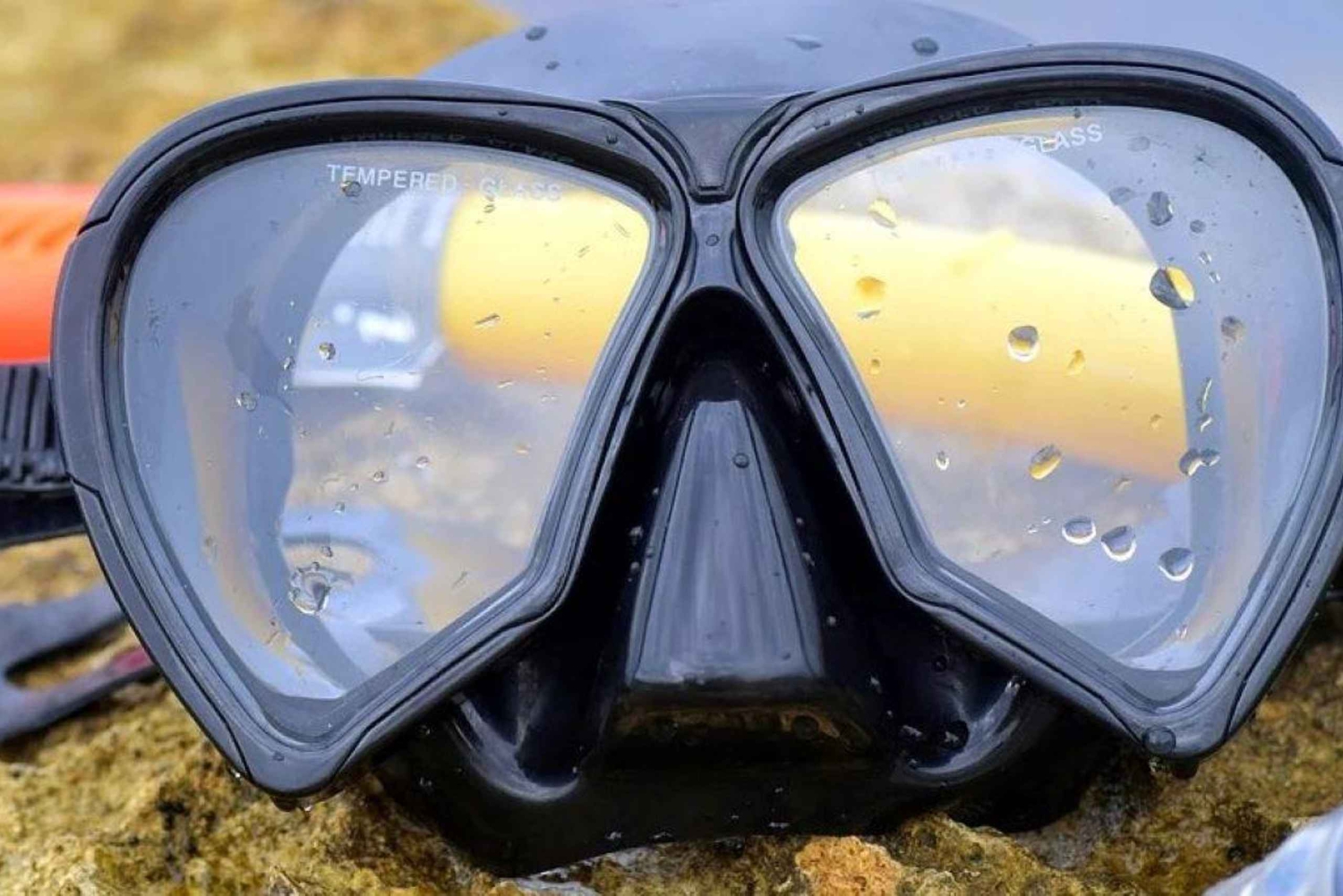 Fra Cancun: Snorkling på Cozumel The Heaven