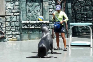 Z Cozumel: oficjalna całodzienna wejściówka do parku Chankanaab i fajka do nurkowania