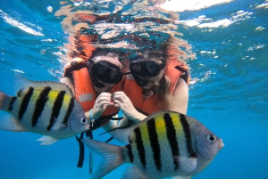 Z Cozumel: oficjalna całodzienna wejściówka do parku Chankanaab i fajka do nurkowania