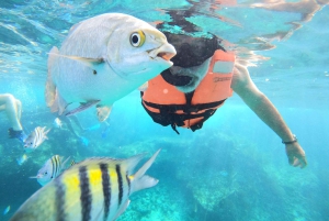 Z Cozumel: oficjalna całodzienna wejściówka do parku Chankanaab i fajka do nurkowania