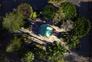 Vanuit Guadalajara: Chapala-meer en Ajijic-tour