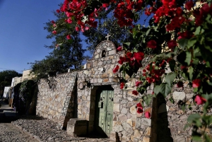 Vanuit Guadalajara: Chapala-meer en Ajijic-tour