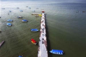 Vanuit Guadalajara: Chapala-meer en Ajijic-tour