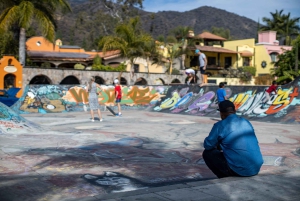 Vanuit Guadalajara: Chapala-meer en Ajijic-tour