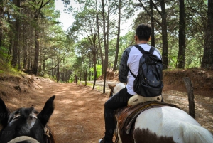 From Guadalajara: Guided Tour to Mazamitla and Eco-Park