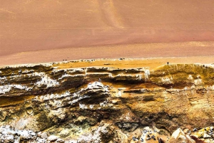 Från Lima: 1-dagsutflykt till Oasis Costa Rica och Ballestasöarna