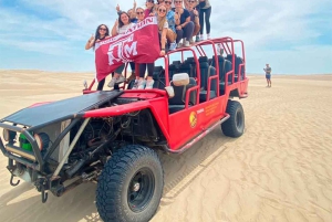 Från Lima: 1-dagsutflykt till Oasis Costa Rica och Ballestasöarna