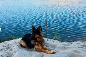 Från Lima: 1-dagsutflykt till Oasis Costa Rica och Ballestasöarna