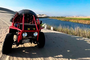 Från Lima: 1-dagsutflykt till Oasis Costa Rica och Ballestasöarna