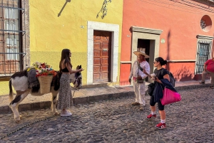 From Mexico City: San Miguel de Allende Day Trip