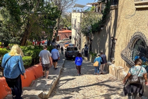 From Mexico City: San Miguel de Allende Day Trip