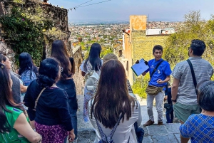 From Mexico City: San Miguel de Allende Day Trip