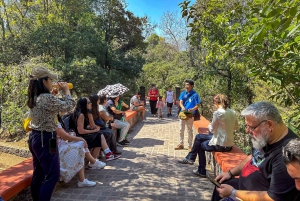 From Mexico City: San Miguel de Allende Day Trip