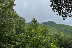 Fra Monterrey: Guidet halvdagsoplevelse i Santiago