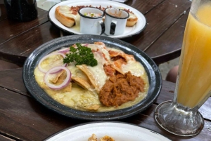 Fra Monterrey: Guidet halvdagsoplevelse i Santiago