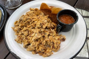 Fra Monterrey: Guidet halvdagsoplevelse i Santiago