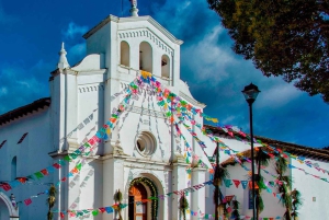 From San Cristóbal: Chamula and Zinacantán Guided Tour