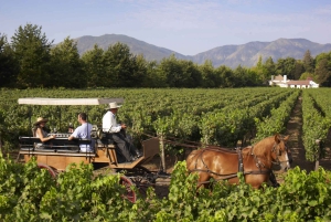 Van Santiago: privé Colchagua Valley-wijntour met proeverij