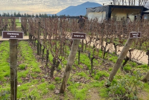 Van Santiago: privé Colchagua Valley-wijntour met proeverij