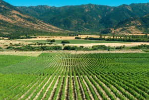 Van Santiago: privé Colchagua Valley-wijntour met proeverij