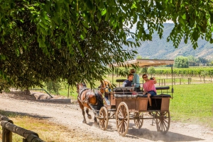 Van Santiago: privé Colchagua Valley-wijntour met proeverij