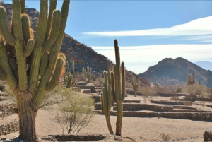 From Tucumán: Tafí del Valle, Quilmes Ruins and Cafayate