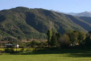 From Tucumán: Tafí del Valle, Quilmes Ruins and Cafayate