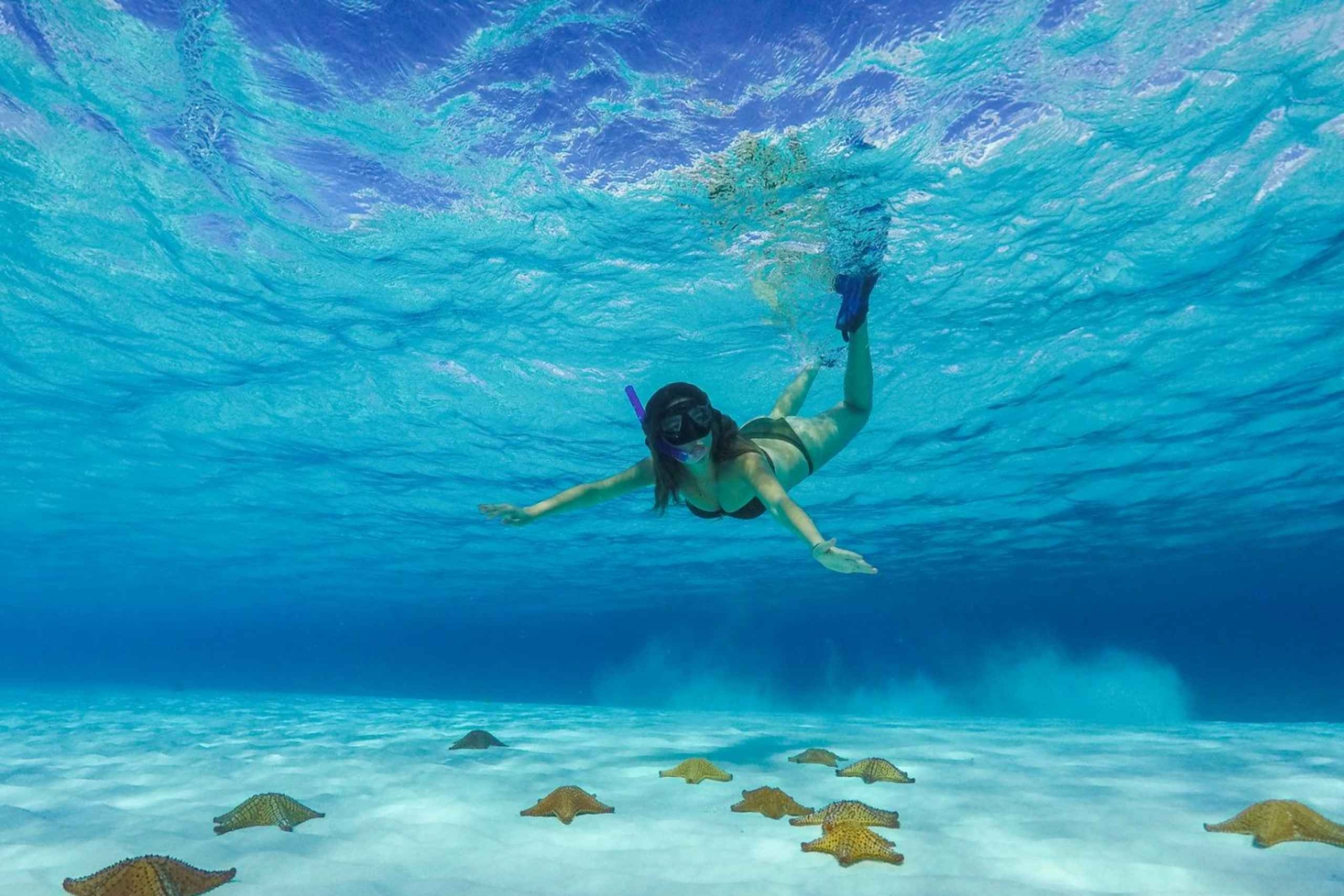 カタマラン船でのコズメル終日ツアー（シュノーケリング＆ランチ付き）