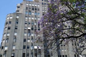 Heldagstur med et kulturelt perspektiv + Palacio Barolo