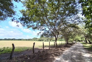 Guanacaste: Vandretur til Cañas Dulces og floden - Rincón de la Vieja