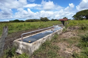 Guanacaste: Vandretur til Cañas Dulces og floden - Rincón de la Vieja