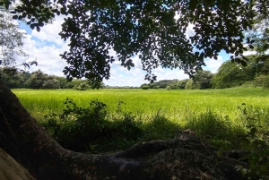 Guanacaste: Vandretur til Cañas Dulces og floden - Rincón de la Vieja