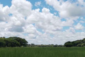 Guanacaste: Vandretur til Cañas Dulces og floden - Rincón de la Vieja