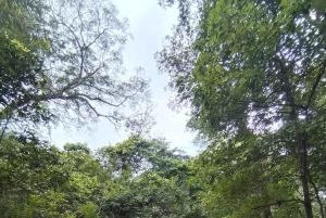 Guanacaste: Vandretur til Cañas Dulces og floden - Rincón de la Vieja