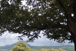 Guanacaste: Vandretur til Cañas Dulces og floden - Rincón de la Vieja