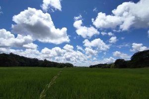 Guanacaste: Vandretur til Cañas Dulces og floden - Rincón de la Vieja