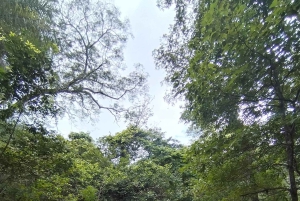 Guanacaste: Vandretur til Cañas Dulces og floden - Rincón de la Vieja