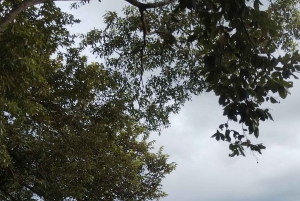 Guanacaste: Vandretur til Cañas Dulces og floden - Rincón de la Vieja