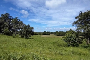 Guanacaste: Vandretur til Cañas Dulces og floden - Rincón de la Vieja