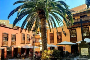 La Palma Tour: Santa Cruz, Cumbrecita and Volcanic Landscape