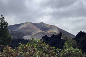 La Palma Tour: Santa Cruz, Cumbrecita and Volcanic Landscape