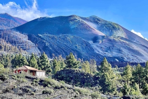 La Palma Tour: Santa Cruz, Cumbrecita and Volcanic Landscape