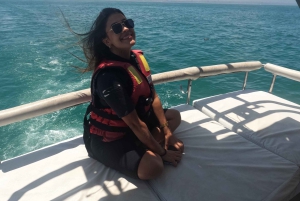 Lima: 2 dage: Palomino Island - Svømning med søløver + Huacachina - Alt inkluderet