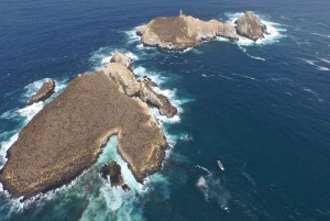 Lima: 2 dage: Palomino Island - Svømning med søløver + Huacachina - Alt inkluderet