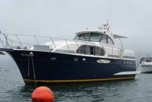 Lima: 2 dage: Palomino Island - Svømning med søløver + Huacachina - Alt inkluderet