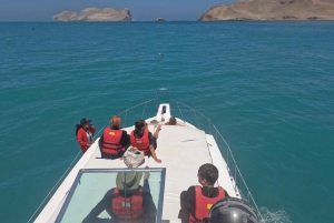 Lima: 2 dage: Palomino Island - Svømning med søløver + Huacachina - Alt inkluderet