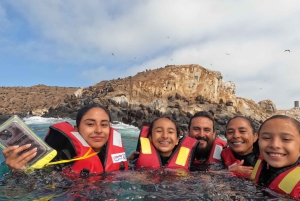 Lima: 2 dage: Palomino Island - Svømning med søløver + Huacachina - Alt inkluderet